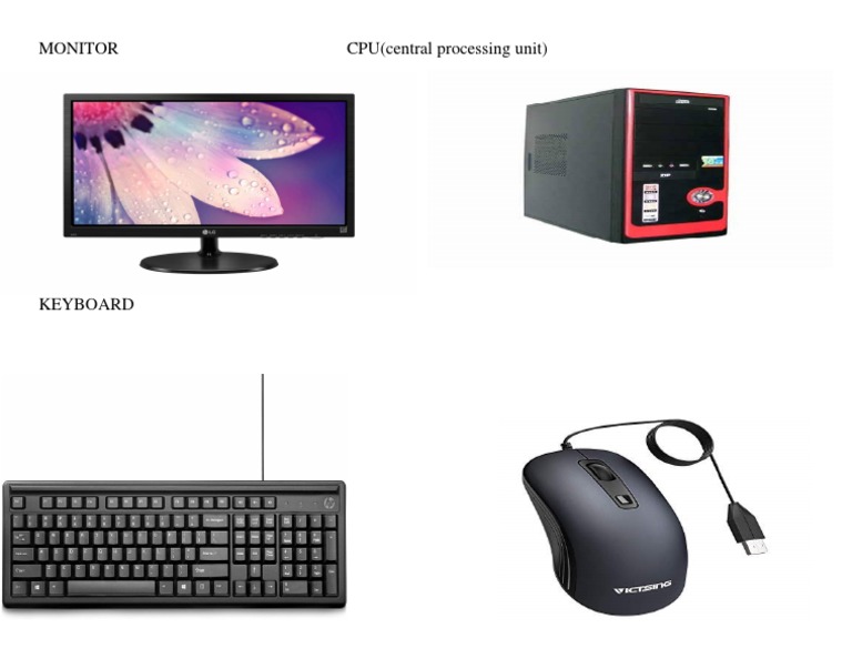Parts of D Computer | PDF