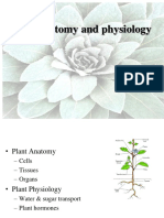 Plant Anatomy and Physiology