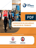 Supervisor en Seguridad y Salud en El Trabajo