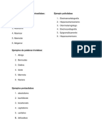 Ejemplos de Palabras Tetrasílabas