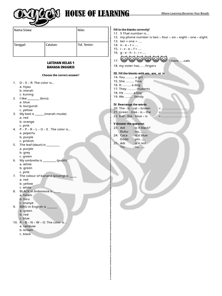 English Class Exercise for Beginners | PDF