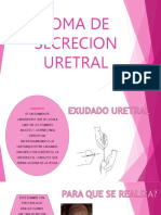 Toma de Secrecion Uretral Cervical Gram