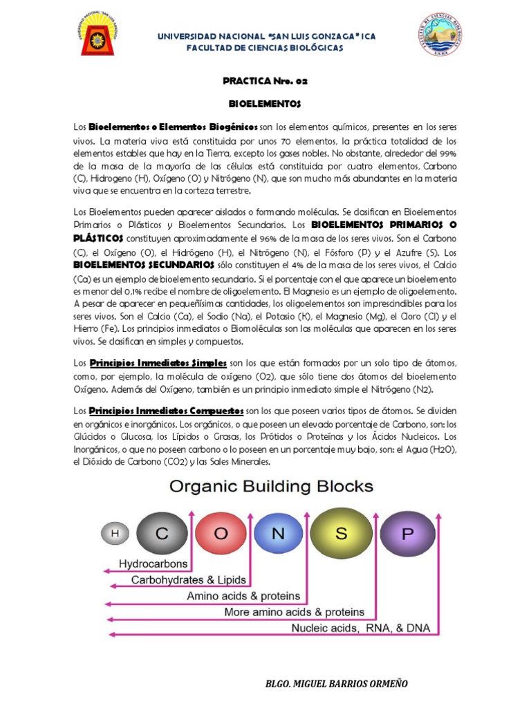 Practica Dos Bioelementos | PDF | Compuestos orgánicos | Oxígeno