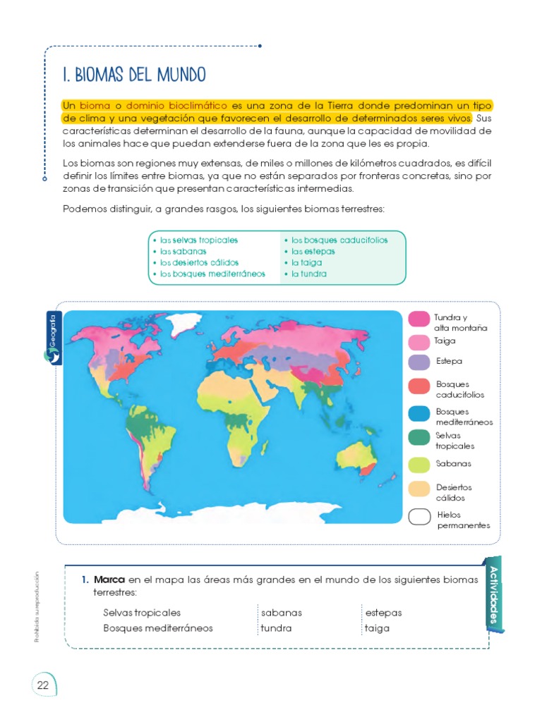 Biomas Terrestres y sus Características | PDF | Selva | Desierto