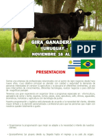 Gira Ganadera Uruguay Brasil Noviembre 2019 (1)