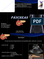 Us Pancreas