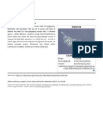 Diatomee.pdf