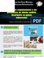 LECT 11 Estructura Organizacional y Sus Parámetros de Diseño Análisis Descriptivo en Pymes Industriales