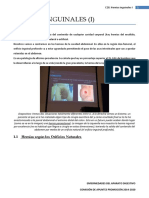 E28 Hernias Inguinales (I) REVISADA en PDF