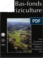 Basfond Et Riziculture PDF