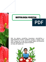botanica.pptx