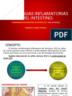 Patologías Inflamatorias Del Intestino.