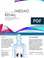 Enfermedad Renal Aguda