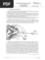 Ficha de Trabalho IRNA