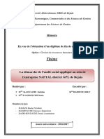 La Démarche de L'audit Social Appliqué Au Sein de L'entreprise NAFTAL District GPL de Bejaia