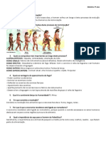 1º Testes - Paleolítico e Neolítico