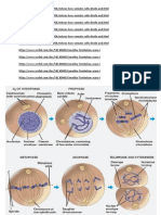 biologi