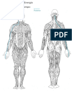 5 Lineas Laringeo PDF