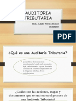 Auditoria Tributaria