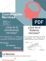 Coordinacion Nerviosa