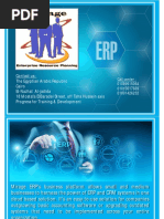 Mirage ERP Presentation 2019 PDF