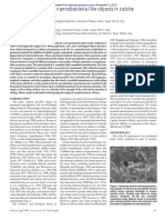 Alternative Origins For Nannobacteria-Like Objects in Calcite