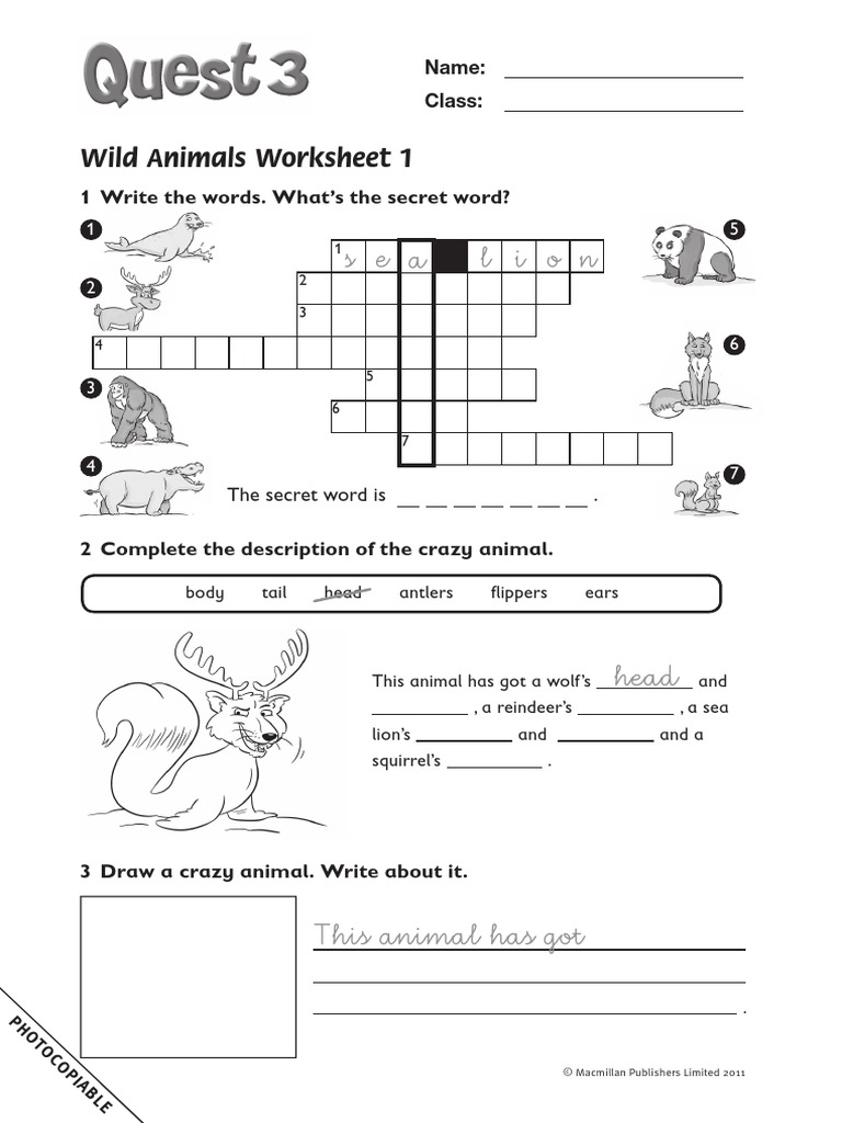 Wild Animal Worksheet | PDF