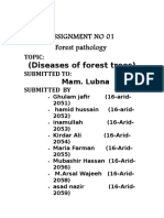 Diseases of Forest Trees-2