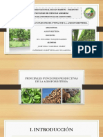 Funciones Productivas de La Agroforestería