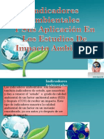 Presentacioneiaexpo Indicadoresambientalesparapublicar 120401075914 Phpapp01