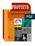 Modul Protista