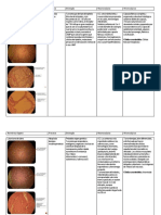 361672938-2doparciallaboratoriopatologia-160211203420.pdf