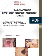 287502151-Lab-Patologia-Neoplasia-Malignas-Epiteliales.ppt