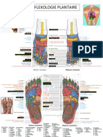 Réflexologie Cartographie CJM-2018