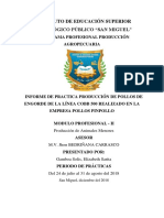 Infor. Pollos Pimpollo - Mod II PDF