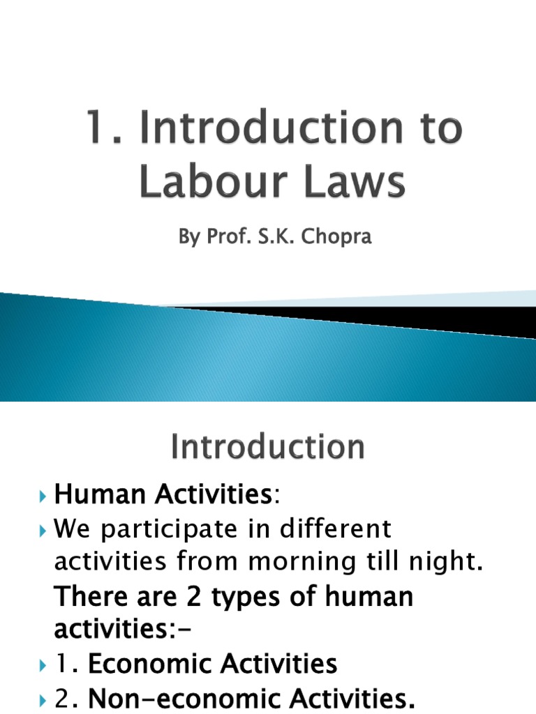 Types of Human Activities Explained | PDF | International Labour ...
