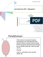 Ulkus Kornea OS + Hipopion: Case Report Session