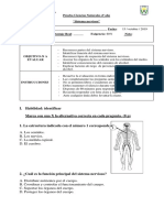 Prueba Ciencias Sistema Nervioso