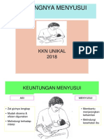 Pentingnya Menyusui