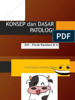 DRH Dani Patologi