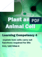Plant and Animal Cell