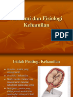 Anatomi Dan Fisiologi Kehamilan