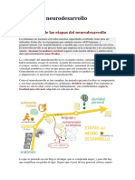 Etapas Del Neurodesarrollo