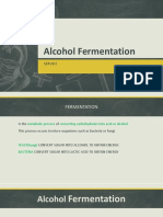 Alcohol Fermentation