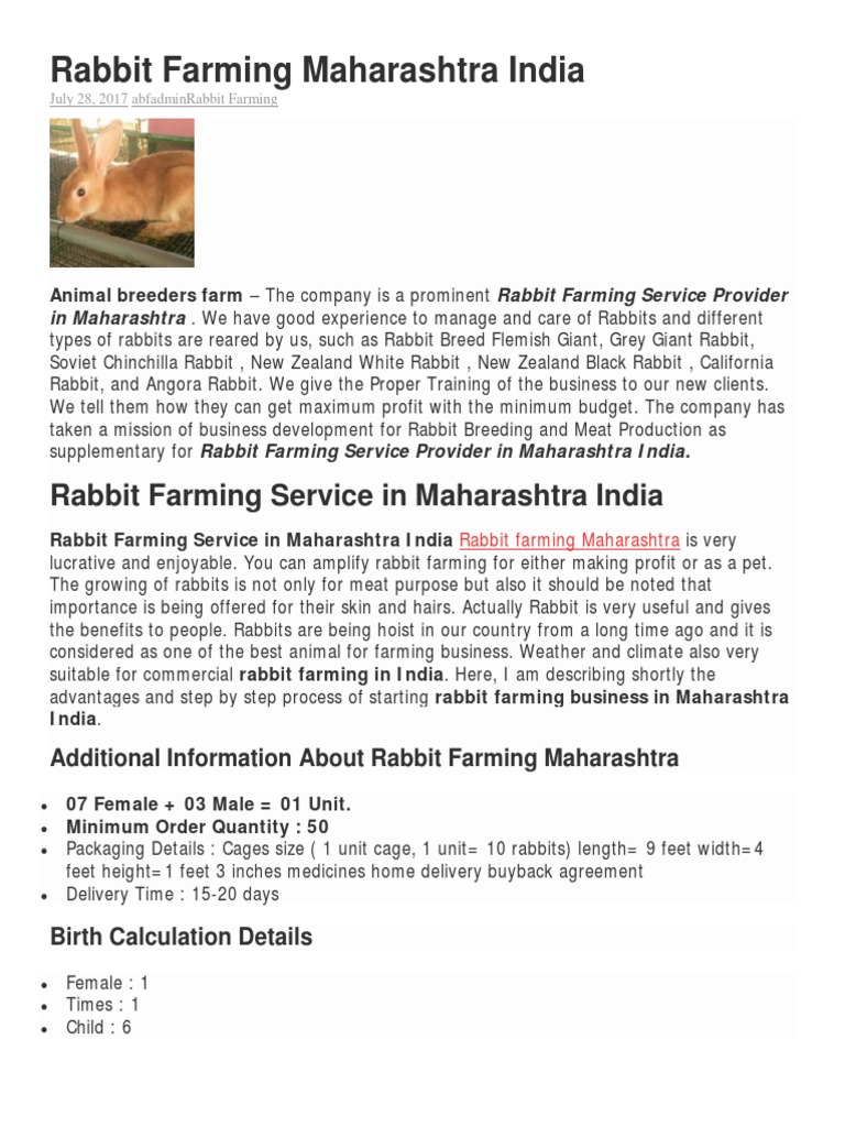 Rabbit Farming Maharashtra India PDF Rabbit Food And Drink