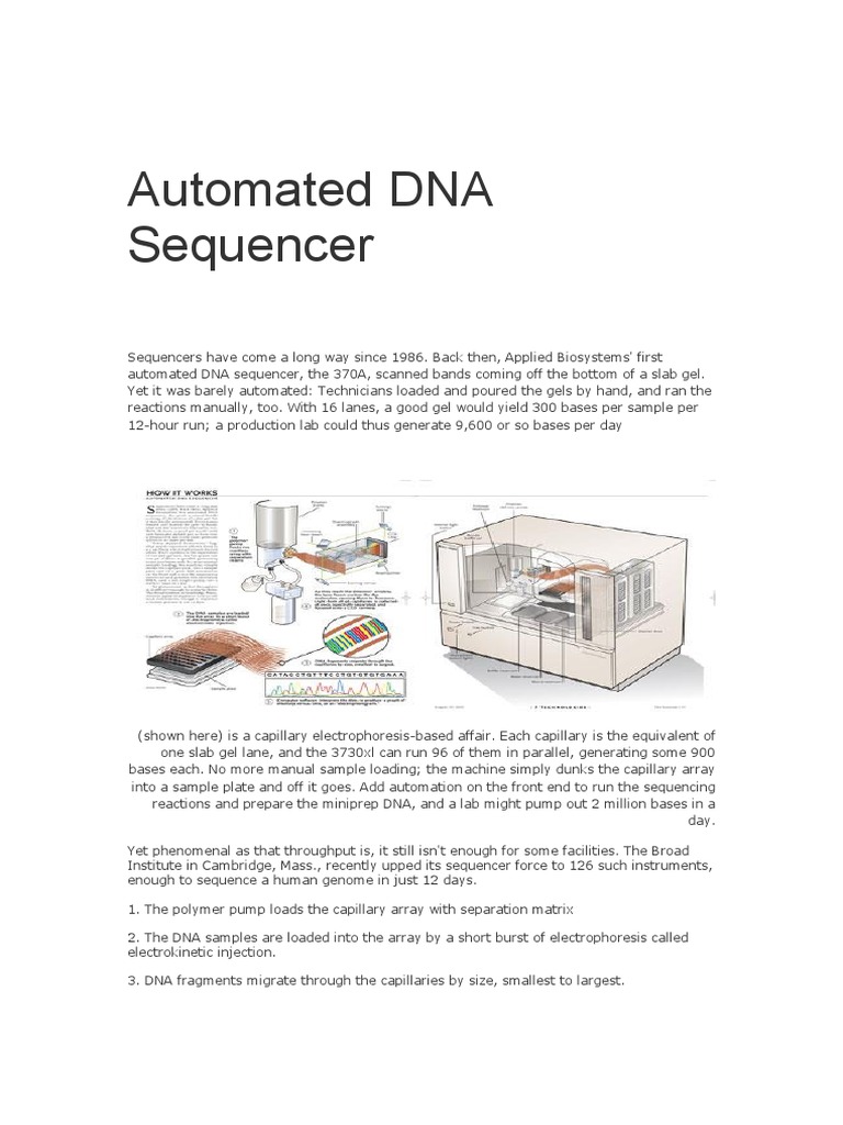 Automated DNA Sequencer | PDF