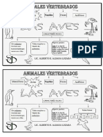 Vertebra Dos