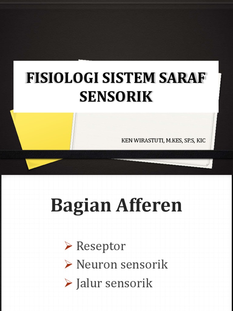 Jalur Sensorik dan Reseptor Nyeri | PDF