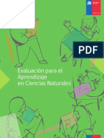 EVALUACIONPARAAPRENDIZAJE.pdf