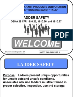 Ladder Safety 2002